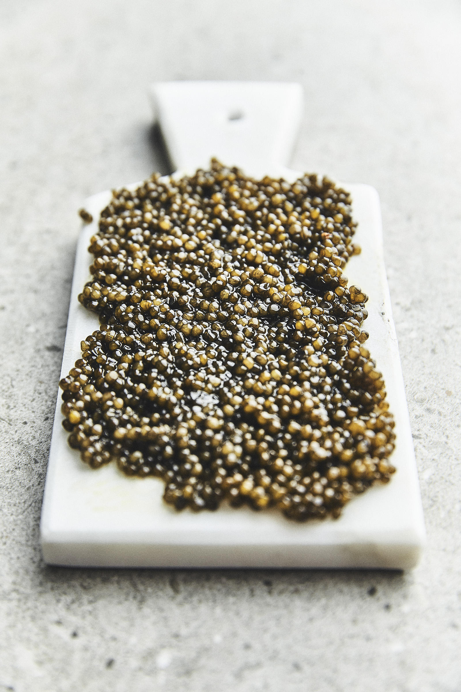 Qu Est Ce Que C Est Le Caviar Malakhoff Caviar